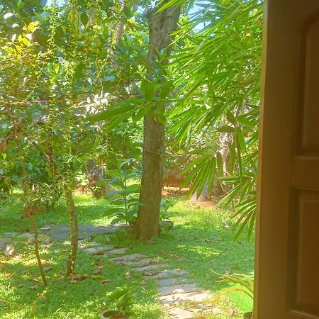 Mother'S Inn Homestay Kochi Esterno foto
